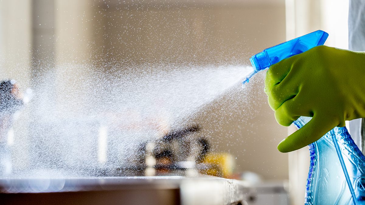 Professional cleaner ready to work