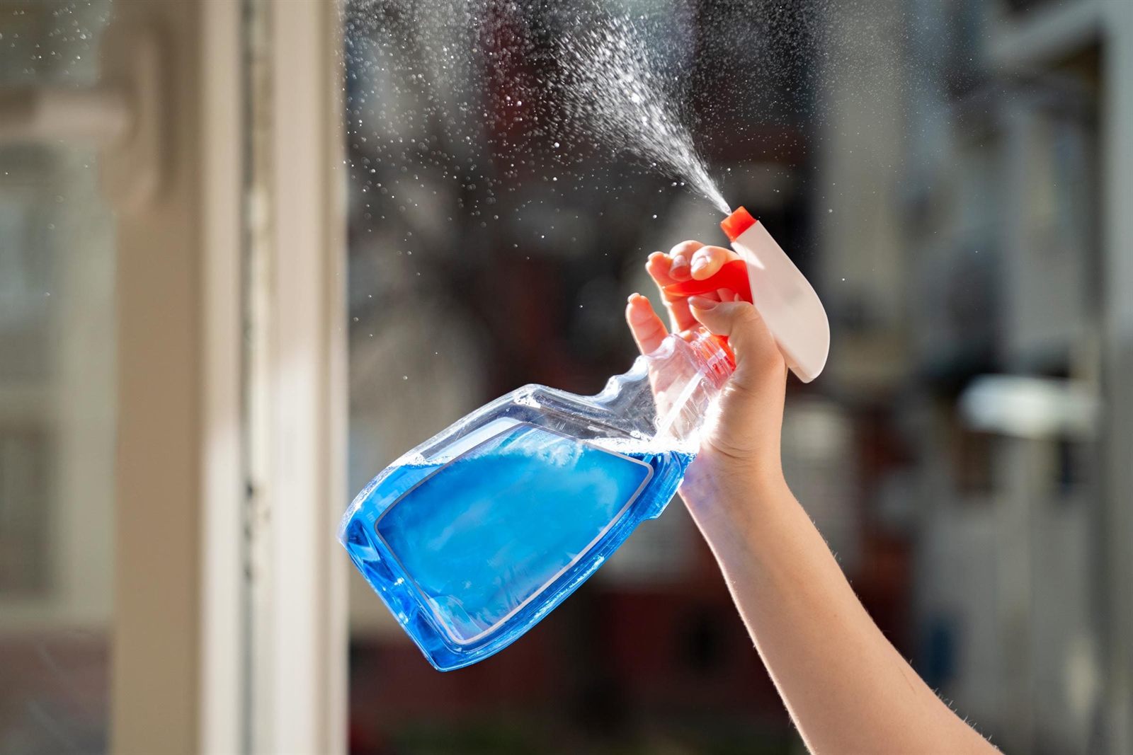 Spray bottle and cleaning detail work